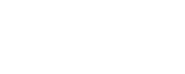 Nic Pulvirenti, Professionals
